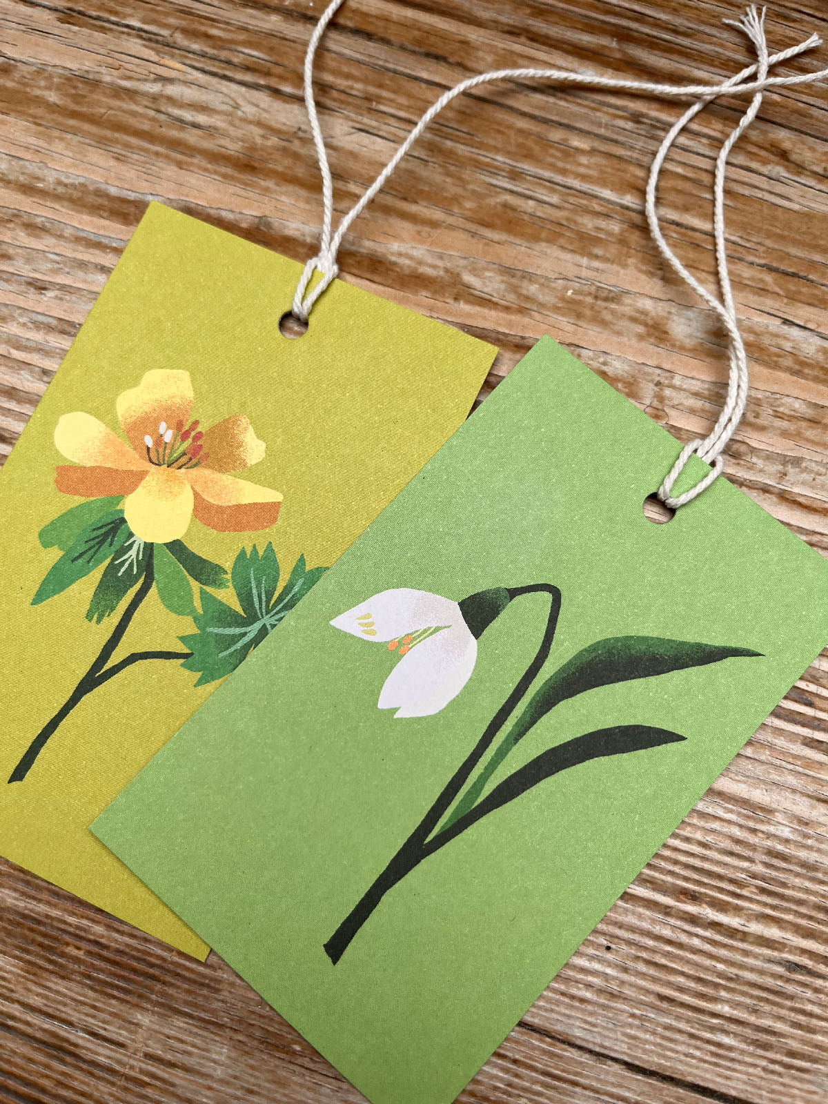 Snowdrop Gift Tags Pack