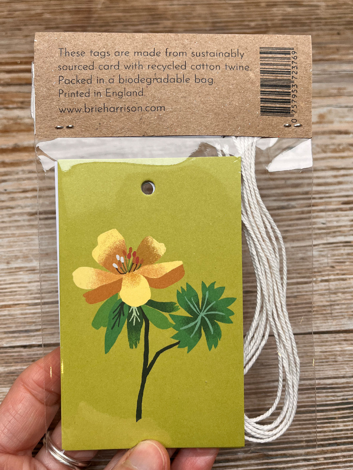Snowdrop Gift Tags Pack